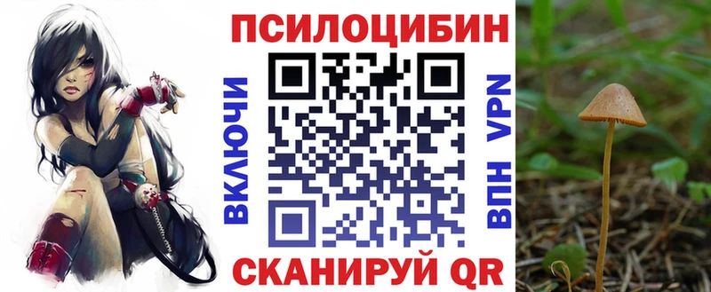Псилоцибиновые грибы GOLDEN TEACHER  дарнет шоп  Мариинский Посад 